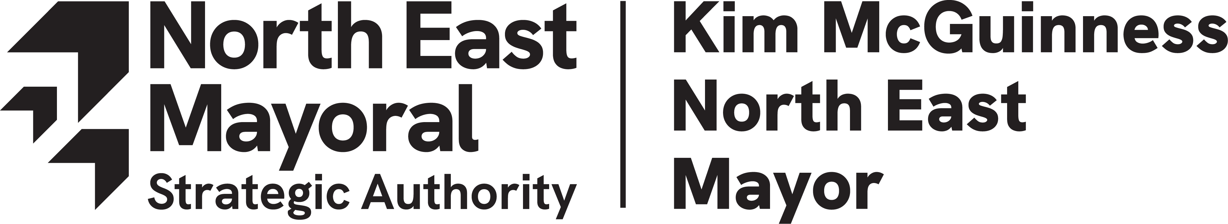 NEMSA logo